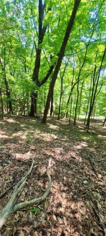 1649 Moss Patch Trail Jasper GA 30143