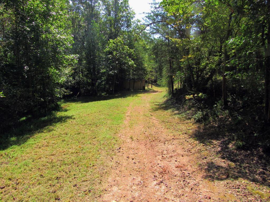 343 Hollybrook Road Dahlonega GA 30533