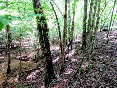 343 Hollybrook Road Dahlonega GA 30533
