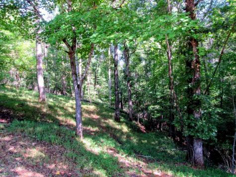343 Hollybrook Road Dahlonega GA 30533