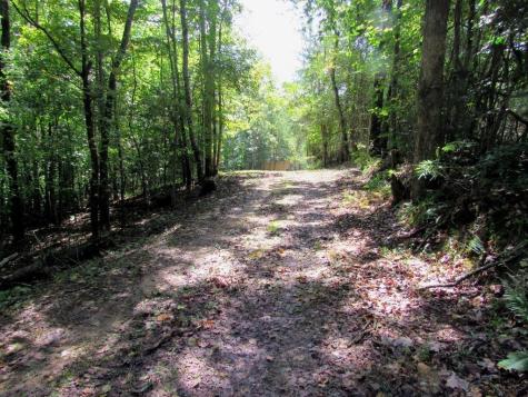 343 Hollybrook Road Dahlonega GA 30533