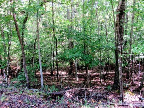 343 Hollybrook Road Dahlonega GA 30533