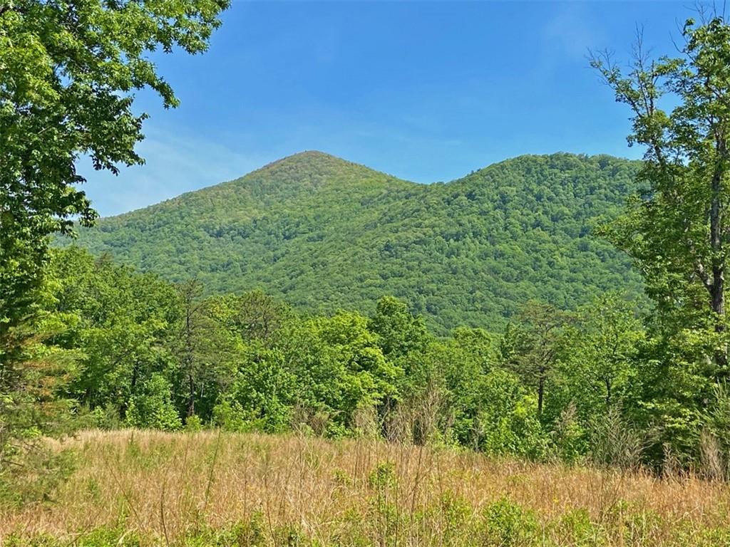 10.5AC Jack Walker Road Dahlonega GA 30533