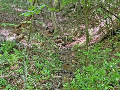 10.5AC Jack Walker Road Dahlonega GA 30533
