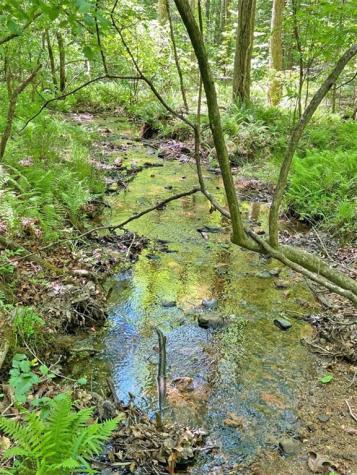 10.5AC Jack Walker Road Dahlonega GA 30533