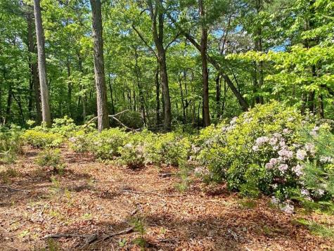 10.5AC Jack Walker Road Dahlonega GA 30533