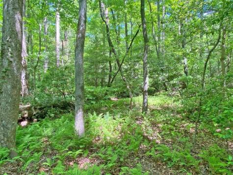10.5AC Jack Walker Road Dahlonega GA 30533