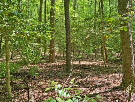 10.5AC Jack Walker Road Dahlonega GA 30533