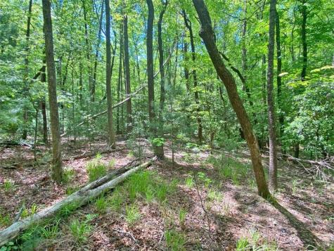 10.5AC Jack Walker Road Dahlonega GA 30533