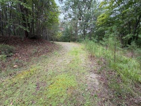 Lot 20 Horseshoe Bend Road Dahlonega GA 30533