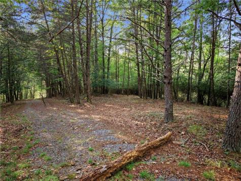 Lot 20 Horseshoe Bend Road Dahlonega GA 30533