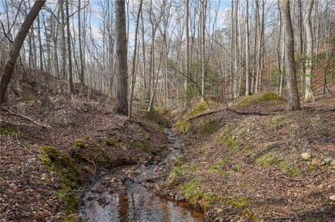 50 Old Stamp Mill Road Dahlonega GA 30533