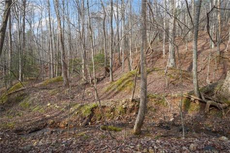 50 Old Stamp Mill Road Dahlonega GA 30533