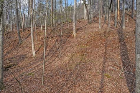 50 Old Stamp Mill Road Dahlonega GA 30533