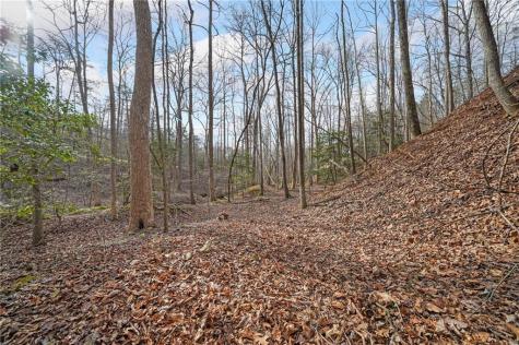 50 Old Stamp Mill Road Dahlonega GA 30533