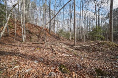 50 Old Stamp Mill Road Dahlonega GA 30533