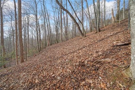 50 Old Stamp Mill Road Dahlonega GA 30533