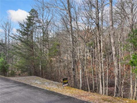 50 Old Stamp Mill Road Dahlonega GA 30533