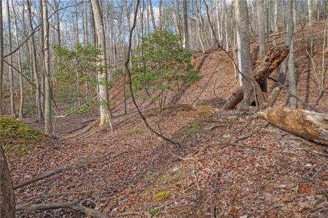 50 Old Stamp Mill Road Dahlonega GA 30533