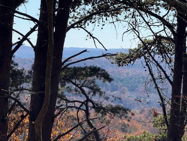 0 John Call Rd - 181.51ac Talking Rock GA 30175
