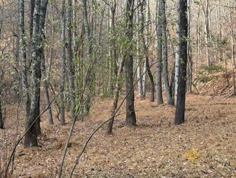 0 John Call Rd - 181.51ac Talking Rock GA 30175
