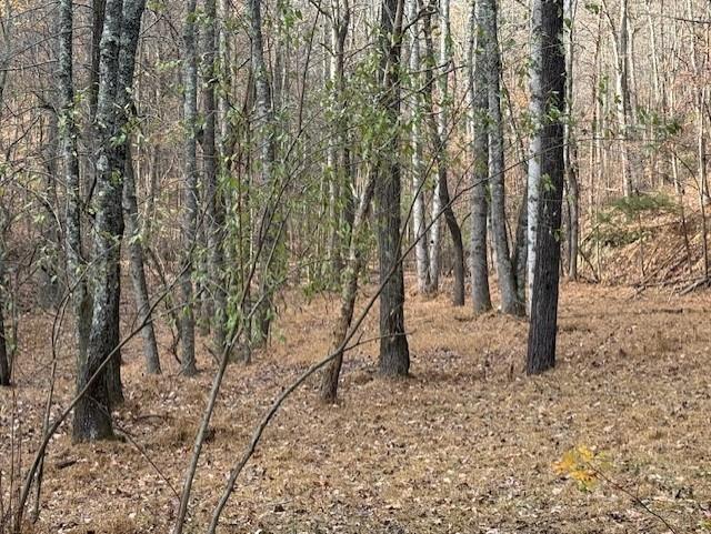 0 John Call Rd - 181.51ac Talking Rock GA 30175