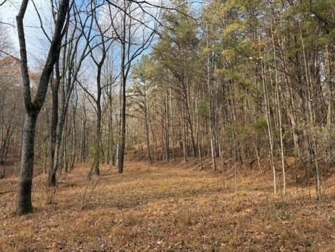 0 John Call Rd - 181.51ac Talking Rock GA 30175