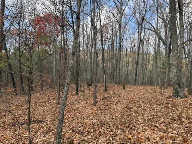 0 John Call Rd - 181.51ac Talking Rock GA 30175