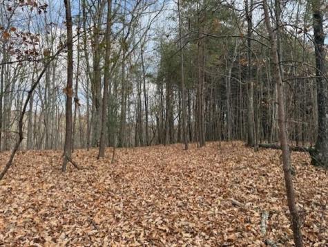 0 John Call Rd - 181.51ac Talking Rock GA 30175