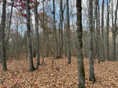 0 John Call Rd - 181.51ac Talking Rock GA 30175