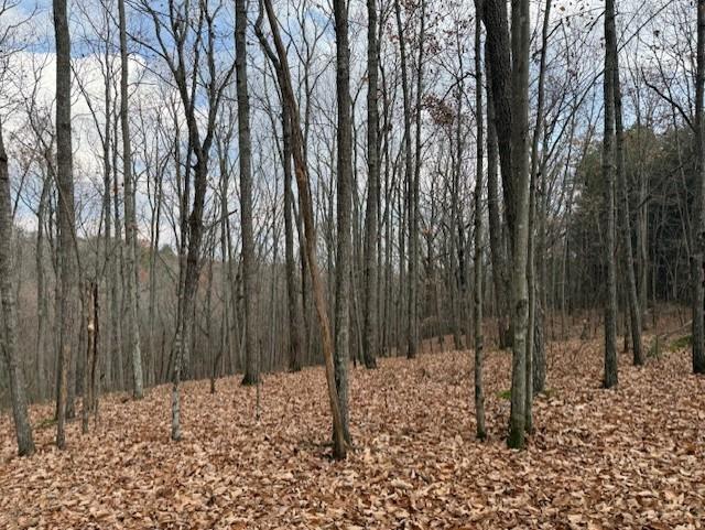 0 John Call Rd - 181.51ac Talking Rock GA 30175