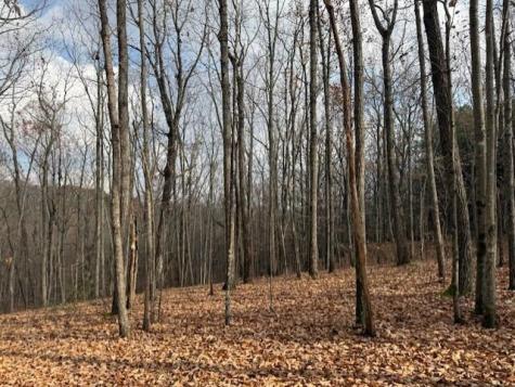 0 John Call Rd - 181.51ac Talking Rock GA 30175