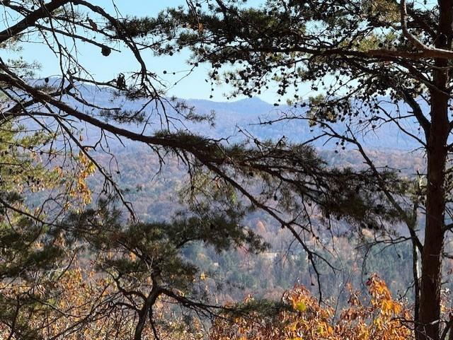 0 John Call Rd - 181.51ac Talking Rock GA 30175