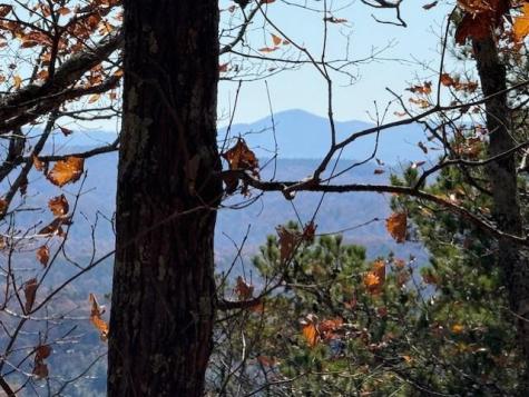 0 John Call Rd - 181.51ac Talking Rock GA 30175