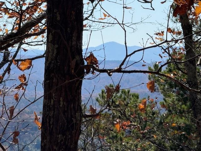 0 John Call Rd - 181.51ac Talking Rock GA 30175