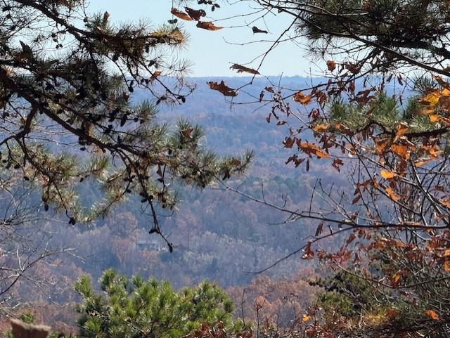 0 John Call Rd - 181.51ac Talking Rock GA 30175