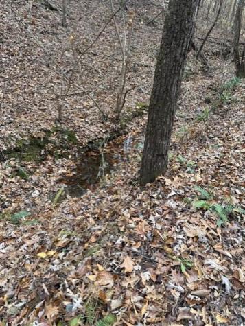 0 John Call Rd - 181.51ac Talking Rock GA 30175