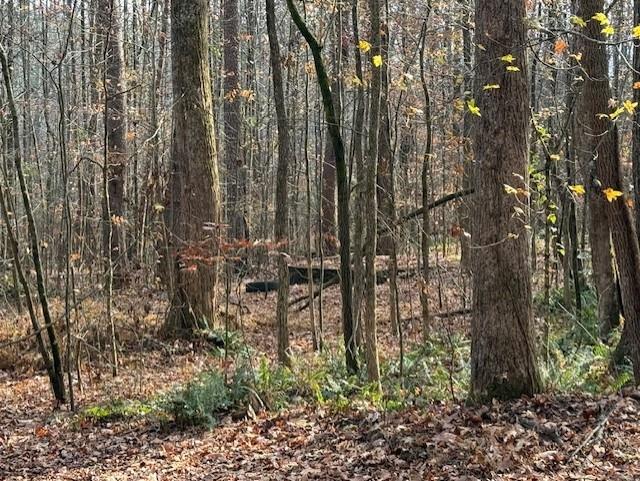 0 John Call Rd - 181.51ac Talking Rock GA 30175