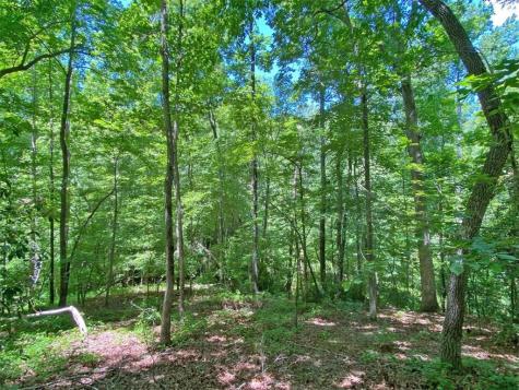 0 Hickory Nut Trail Dahlonega GA 30533
