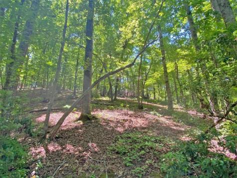 0 Hickory Nut Trail Dahlonega GA 30533