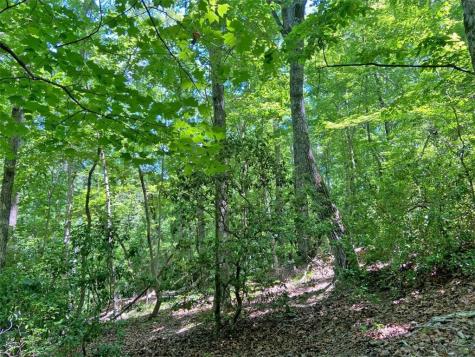0 Hickory Nut Trail Dahlonega GA 30533