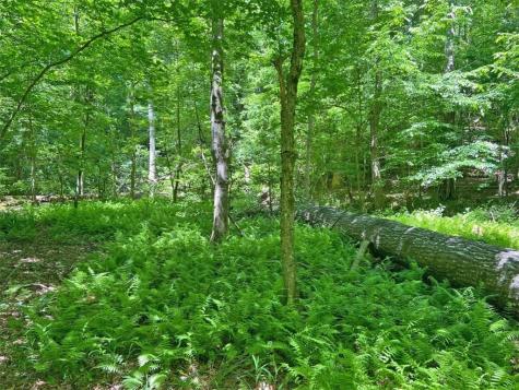 0 Hickory Nut Trail Dahlonega GA 30533