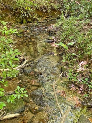 0 Hickory Nut Trail Dahlonega GA 30533
