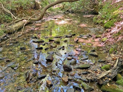 0 Hickory Nut Trail Dahlonega GA 30533