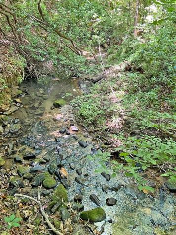 0 Hickory Nut Trail Dahlonega GA 30533
