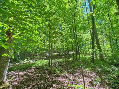0 Hickory Nut Trail Dahlonega GA 30533