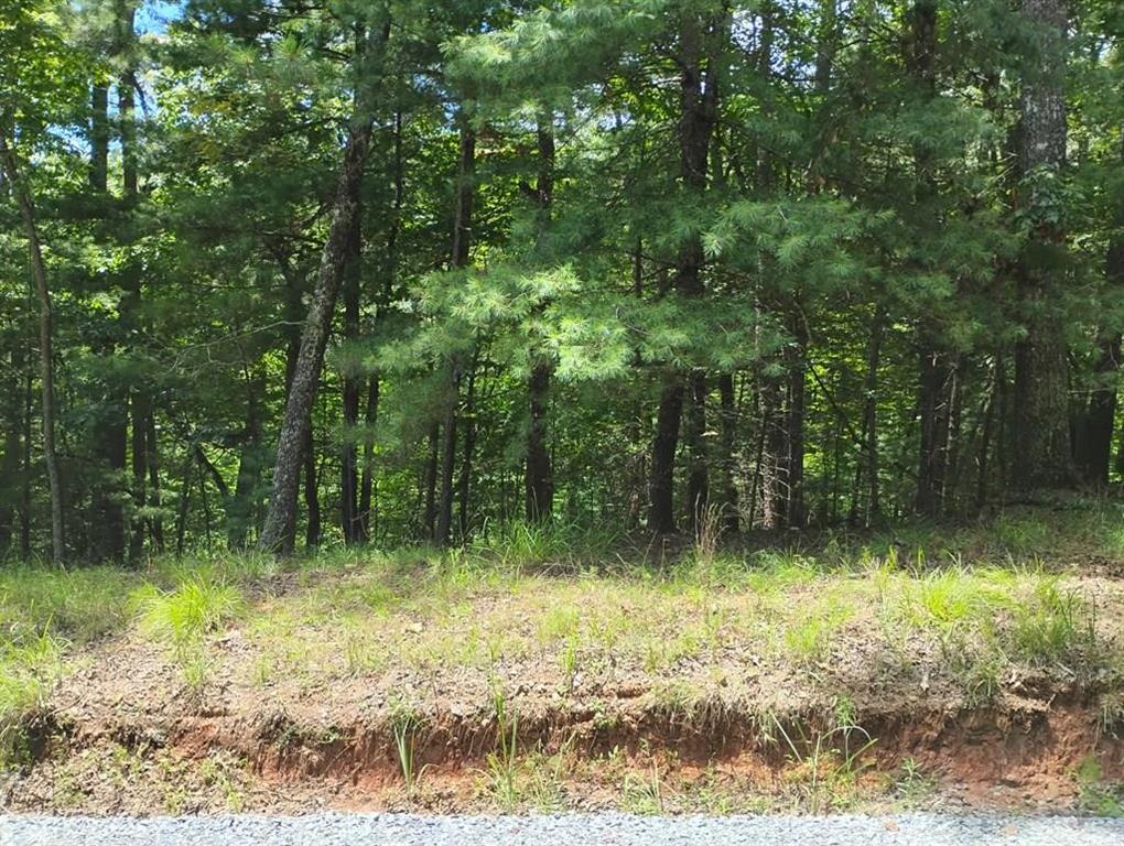 0 Crystal Lane Ellijay GA 30540