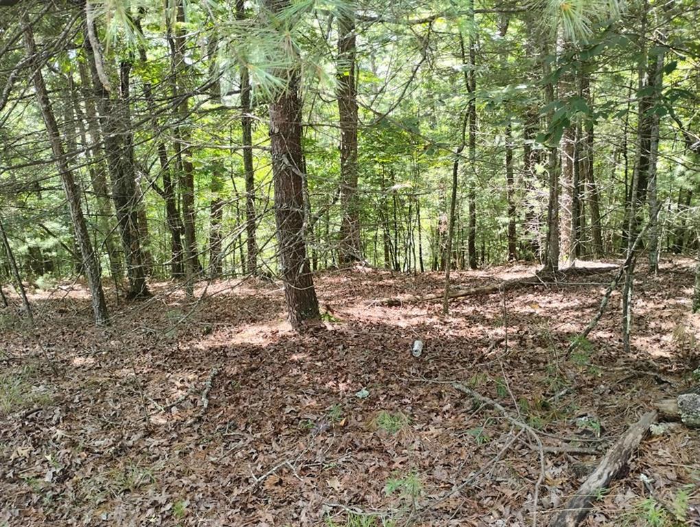 0 Crystal Lane Ellijay GA 30540