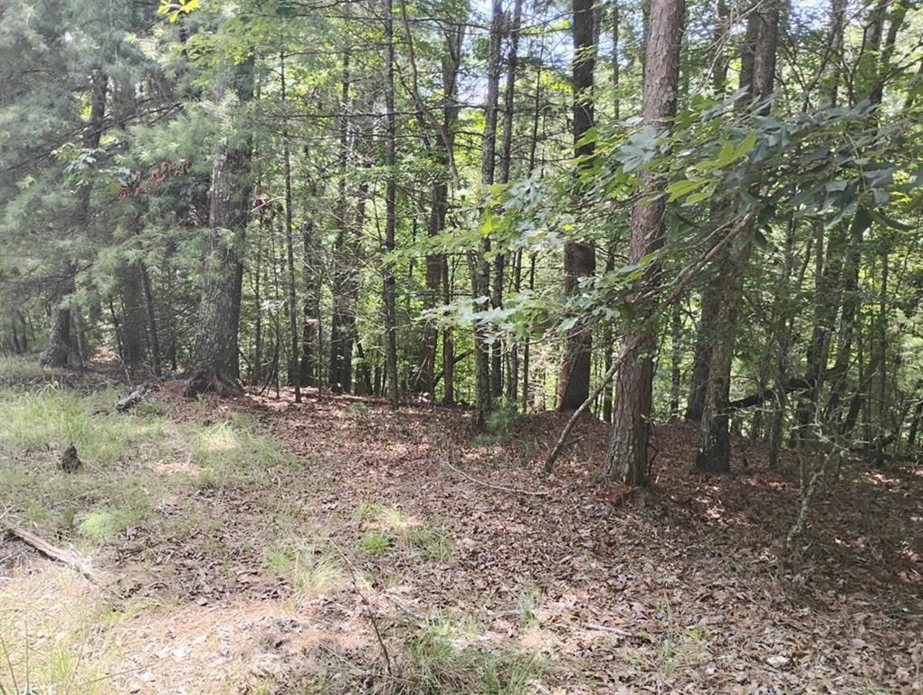 0 Crystal Lane Ellijay GA 30540