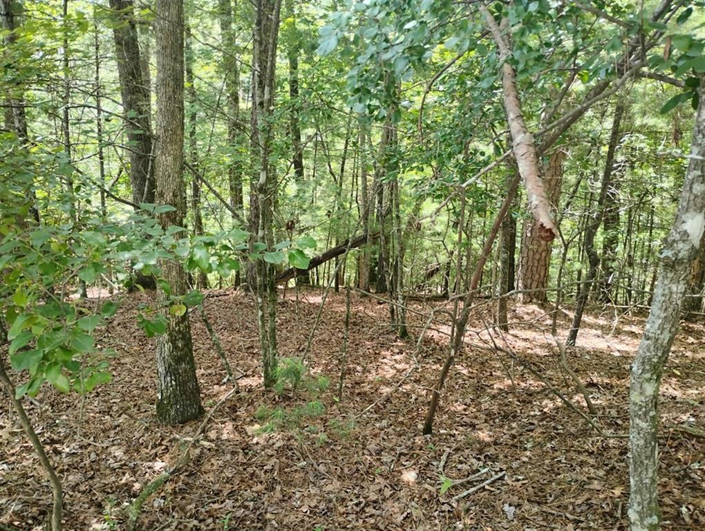 0 Crystal Lane Ellijay GA 30540